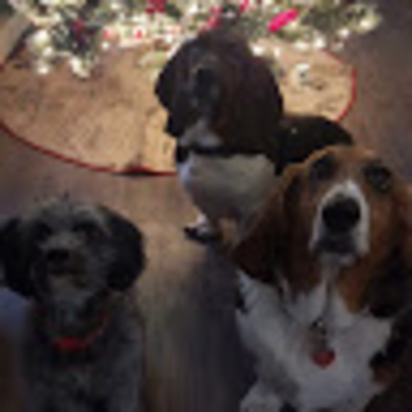 Meet your Posher, Tammy - Picture 1 of 1